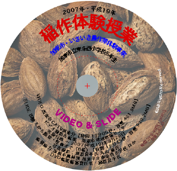 DVD_ Label